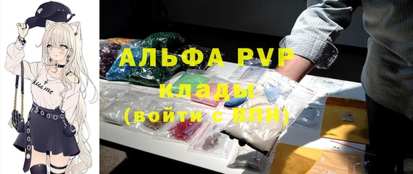 a pvp Белокуриха